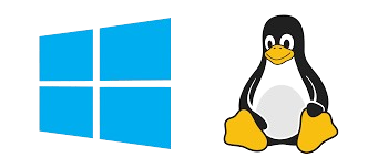linux & windows vps hosting in pakistan